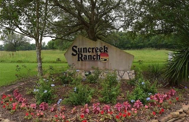 4443 Tankersley Circle, Rosharon, Texas image 7