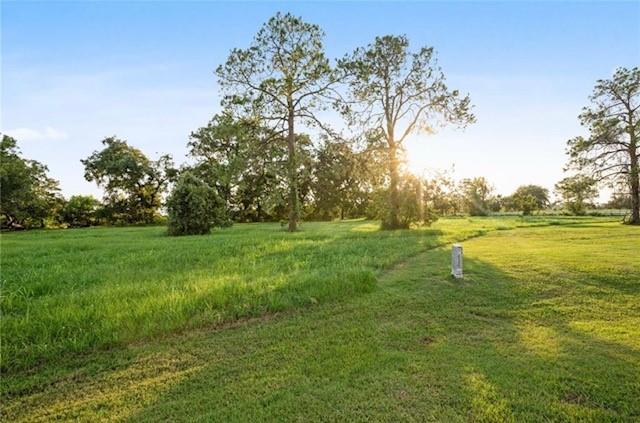 4443 Tankersley Circle, Rosharon, Texas image 4