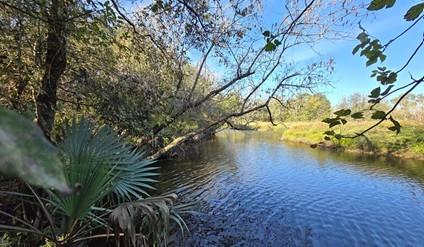 000 Bayou Road, Danbury, Texas image 2