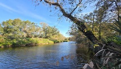 000 Bayou Road, Danbury, Texas image 1