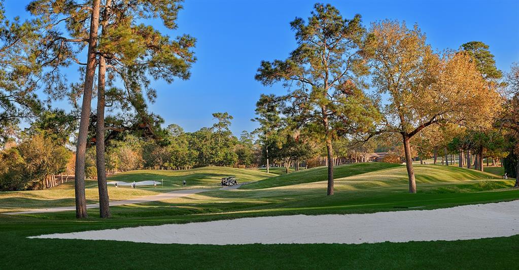 112 S Timber Top Dr, The Woodlands, Texas image 43