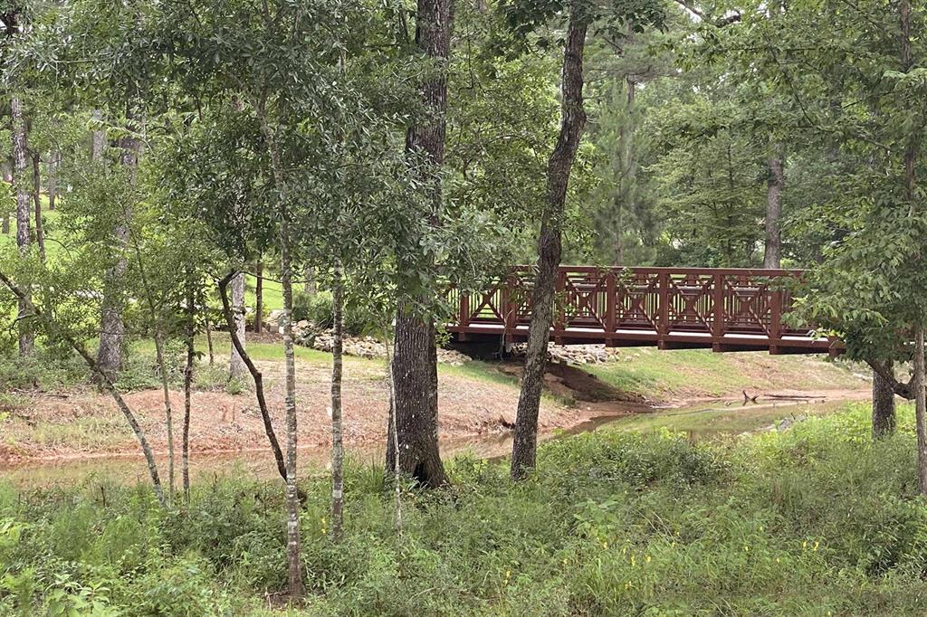 414 Embden Rim Drive, Willis, Texas image 37