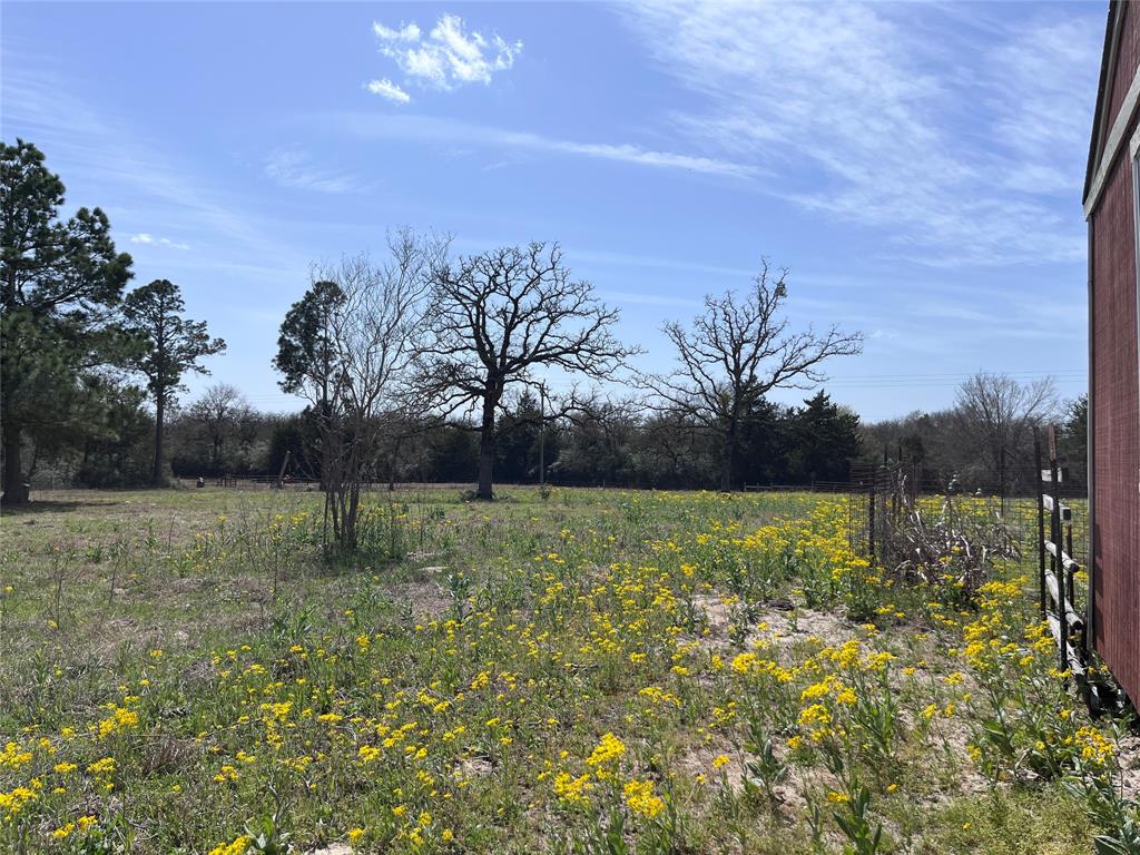 296 Lcr 702, Kosse, Texas image 16