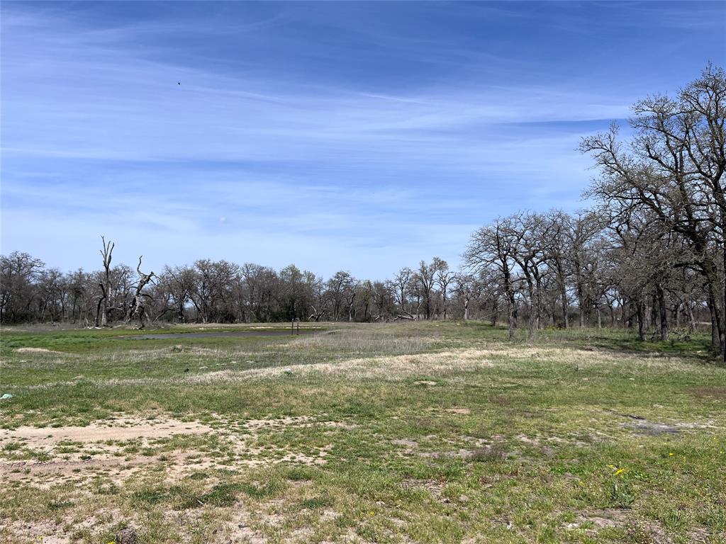 296 Lcr 702, Kosse, Texas image 8