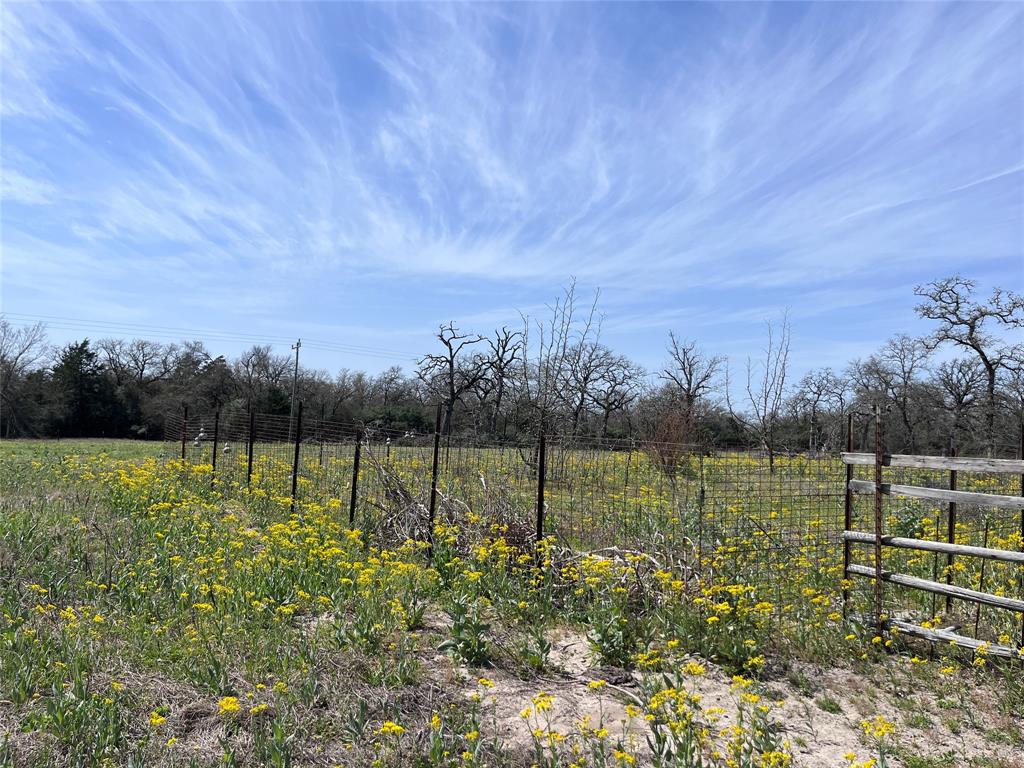 296 Lcr 702, Kosse, Texas image 14