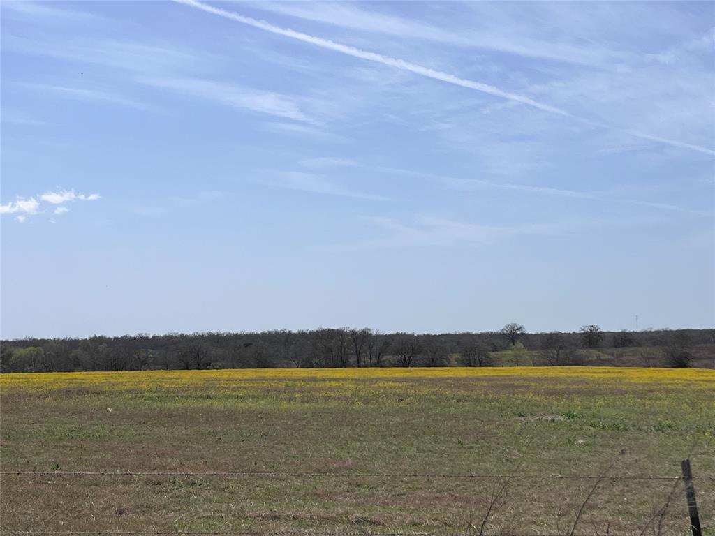 296 Lcr 702, Kosse, Texas image 4