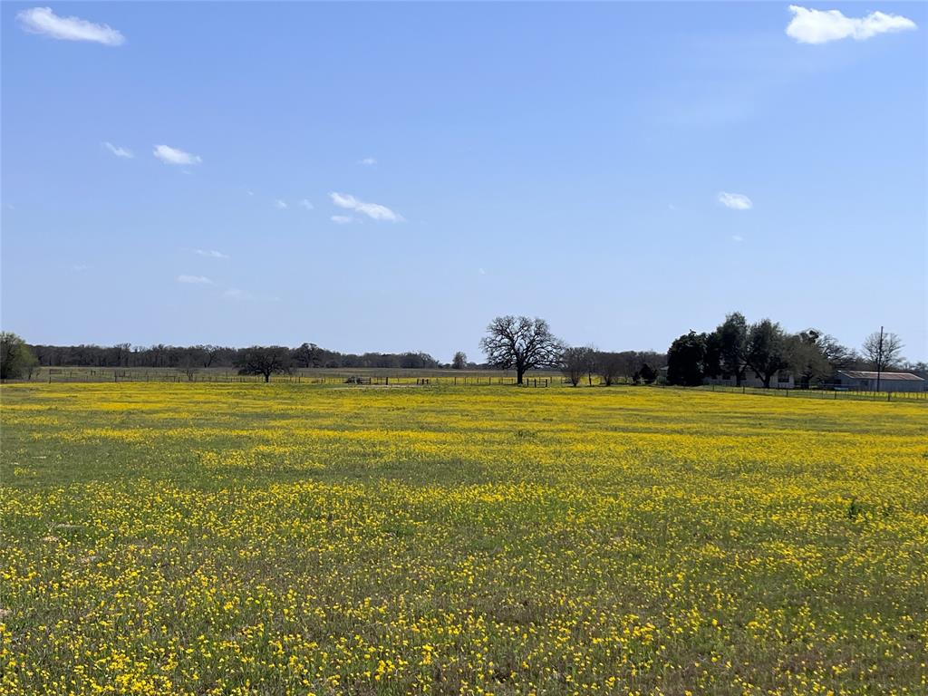 296 Lcr 702, Kosse, Texas image 1
