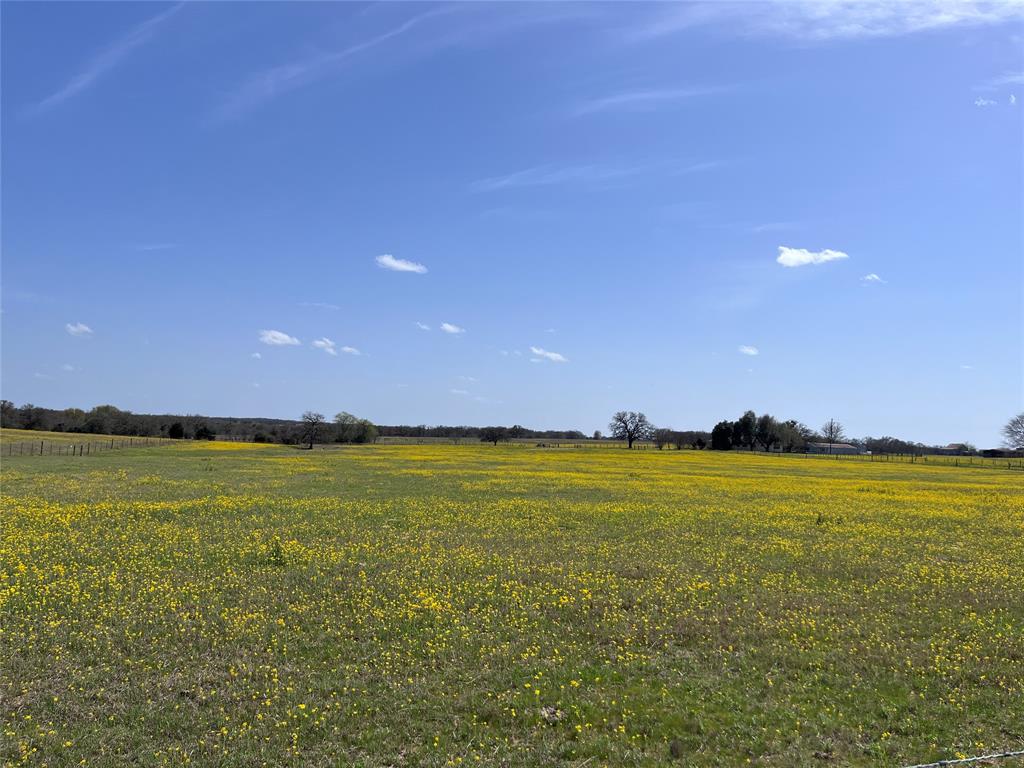 296 Lcr 702, Kosse, Texas image 3