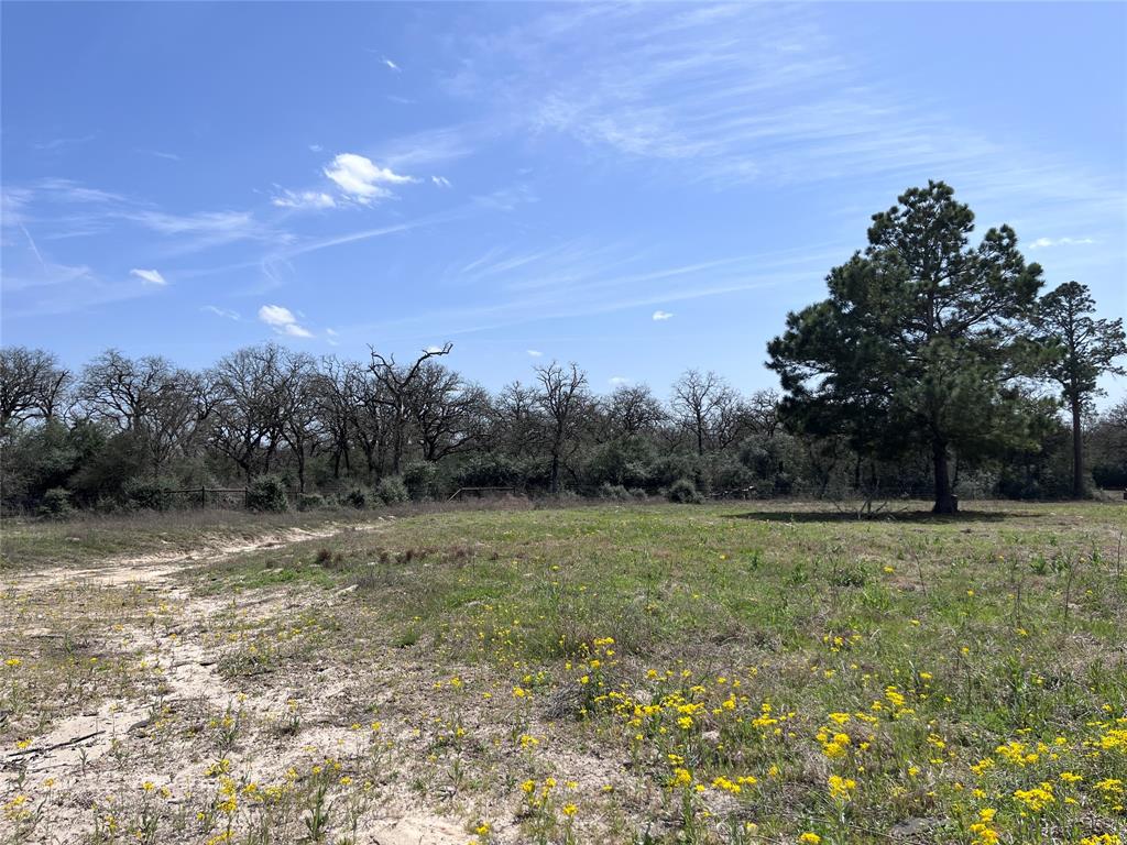 296 Lcr 702, Kosse, Texas image 15