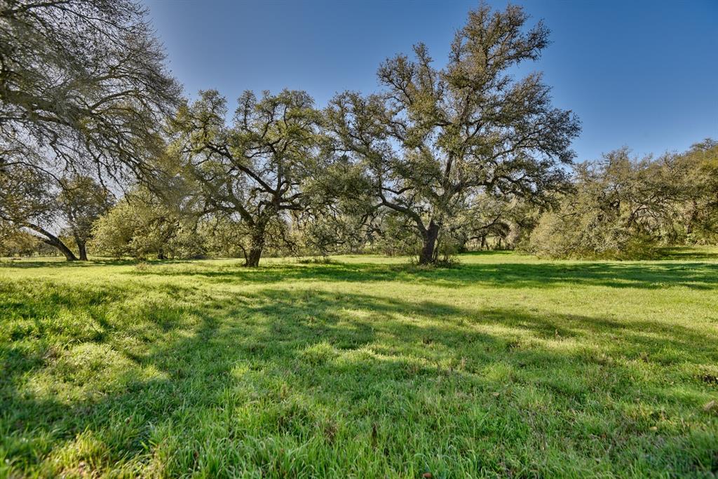 500 Artesian Park Lane, Brenham, Texas image 46