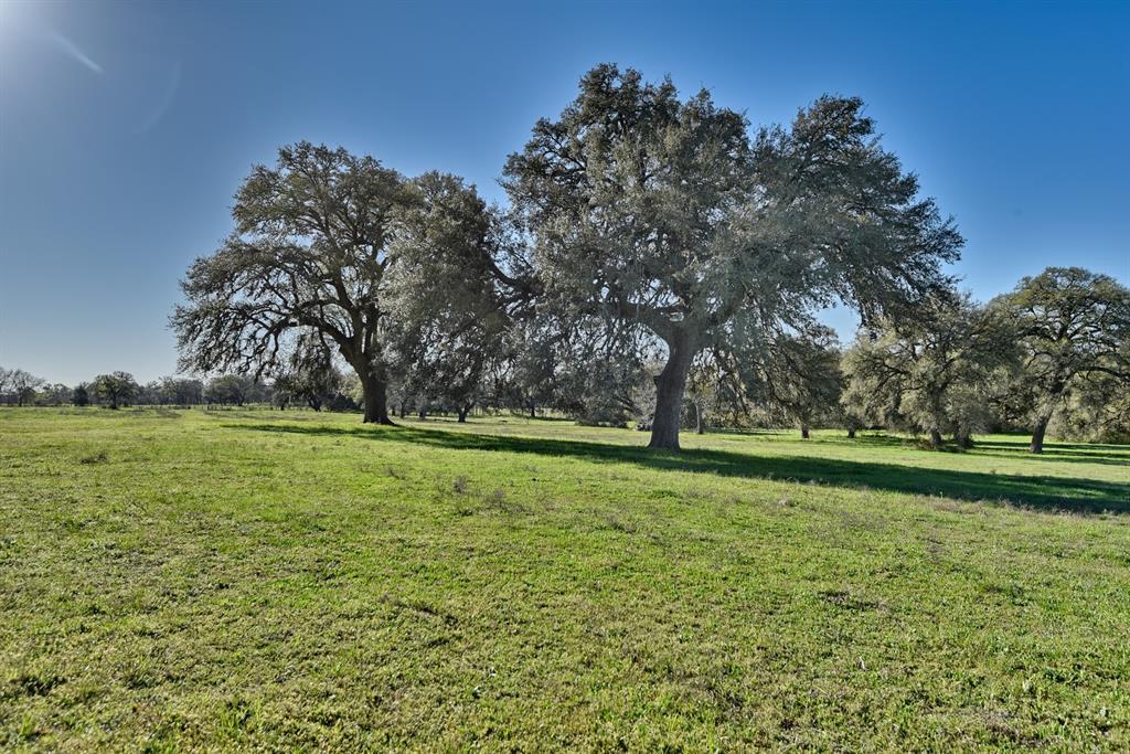 500 Artesian Park Lane, Brenham, Texas image 9