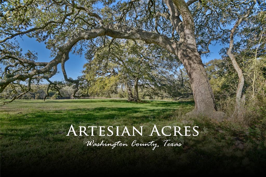 500 Artesian Park Lane, Brenham, Texas image 1