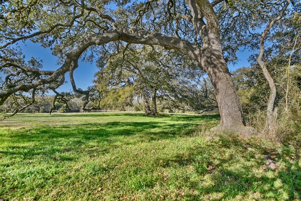 500 Artesian Park Lane, Brenham, Texas image 43