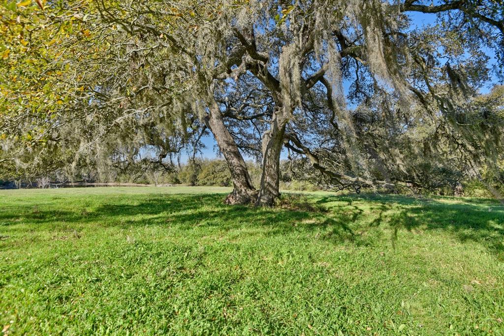 500 Artesian Park Lane, Brenham, Texas image 42