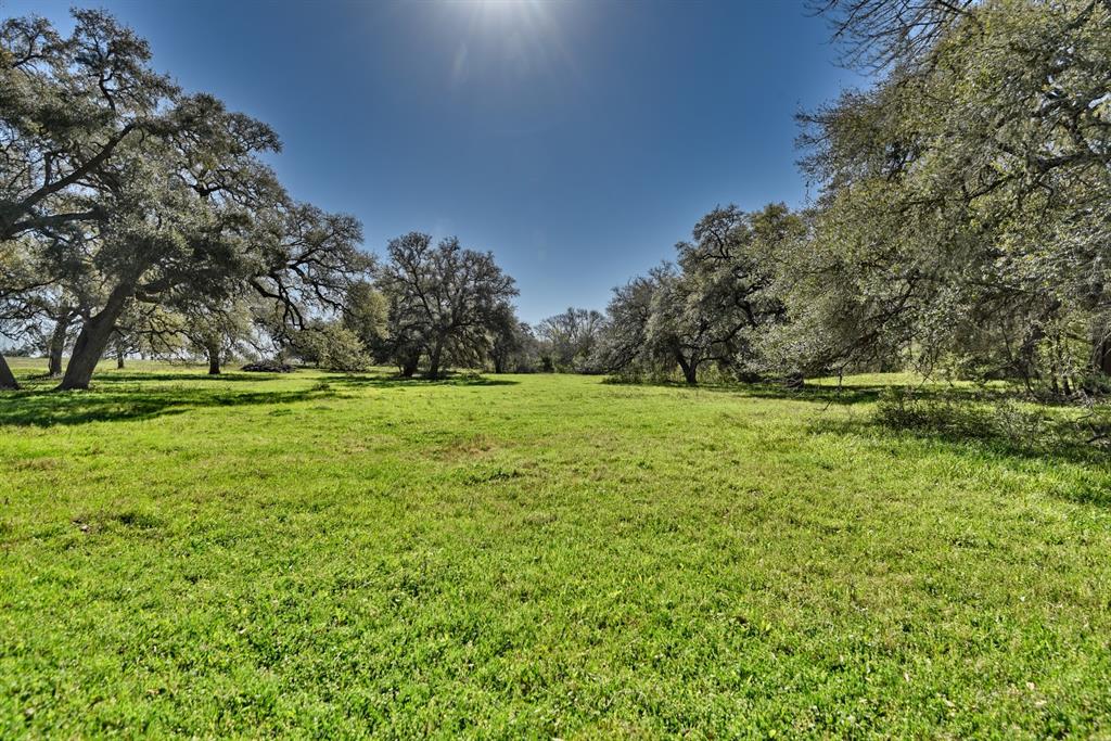 500 Artesian Park Lane, Brenham, Texas image 47