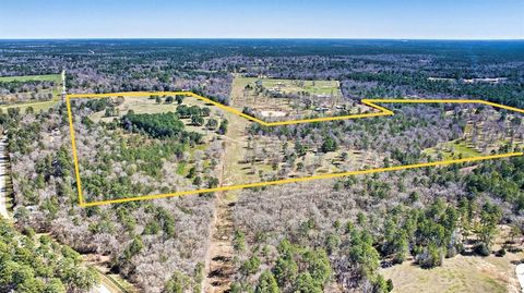Photo of 10994 N Bilnoski Road N, Willis, TX 77378 (MLS # 64729396)
