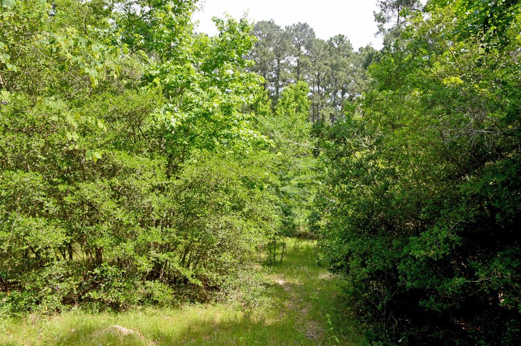2182 Apache Drive, Montgomery, Texas image 18