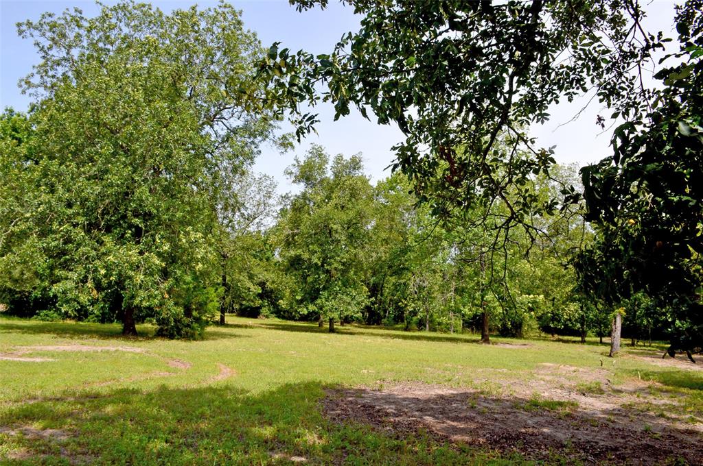 2182 Apache Drive, Montgomery, Texas image 23
