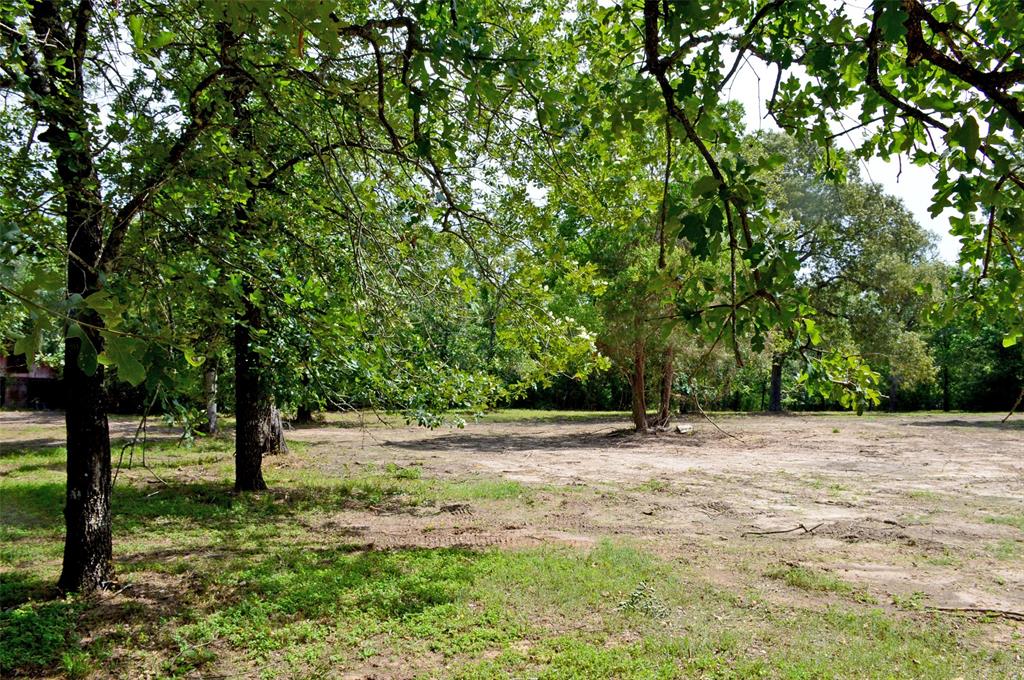 2182 Apache Drive, Montgomery, Texas image 4