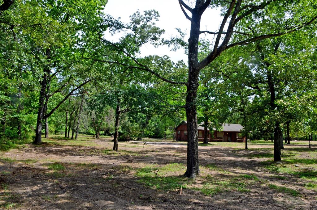 2182 Apache Drive, Montgomery, Texas image 43