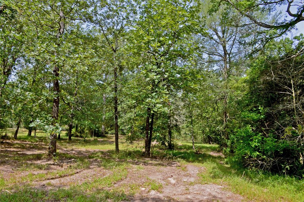 2182 Apache Drive, Montgomery, Texas image 13