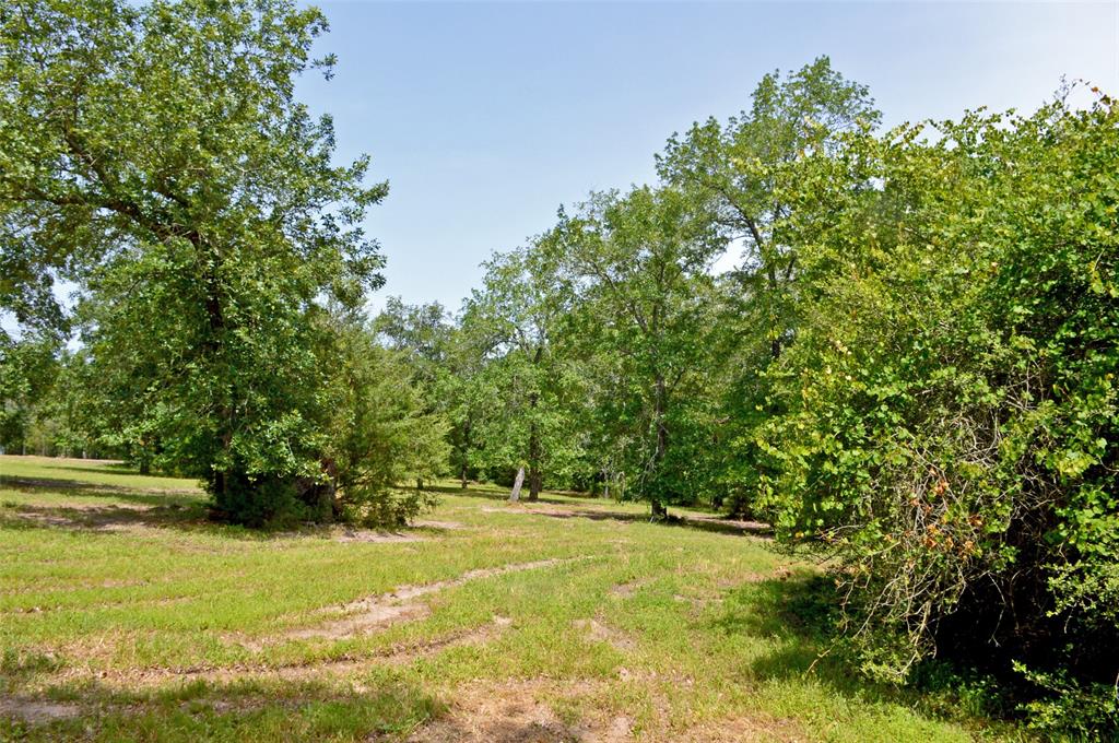2182 Apache Drive, Montgomery, Texas image 20
