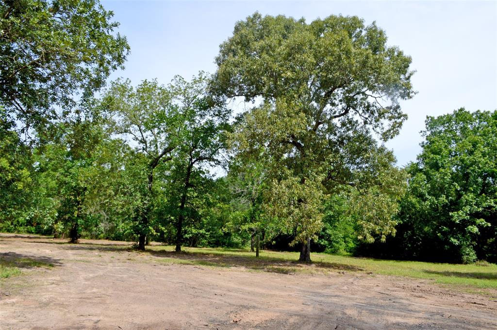 2182 Apache Drive, Montgomery, Texas image 29