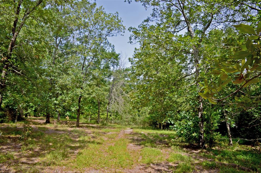 2182 Apache Drive, Montgomery, Texas image 12