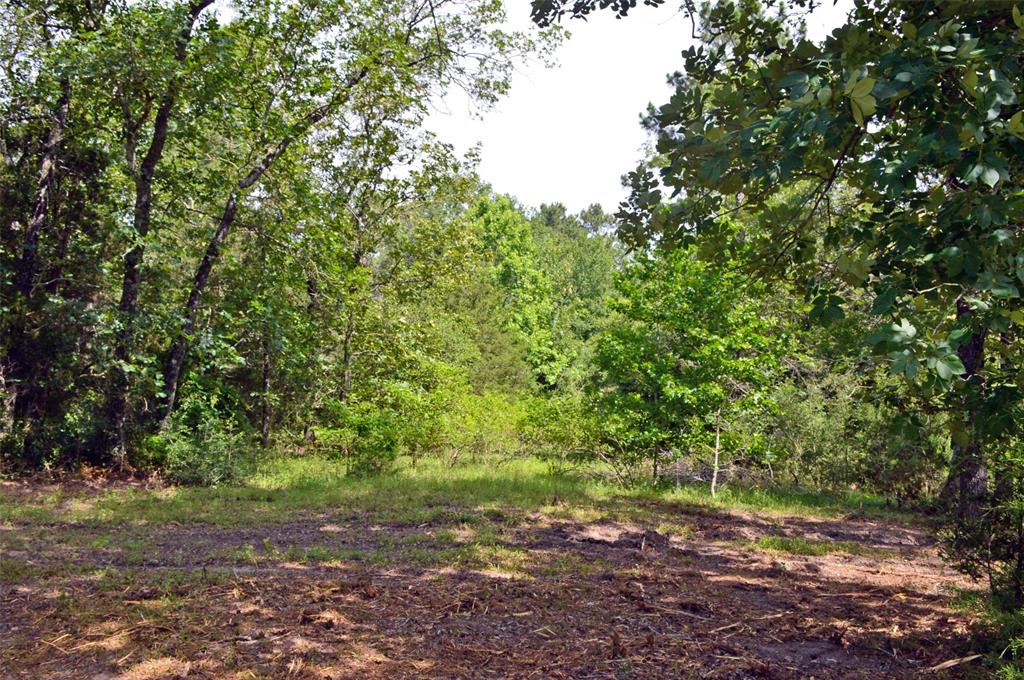 2182 Apache Drive, Montgomery, Texas image 7