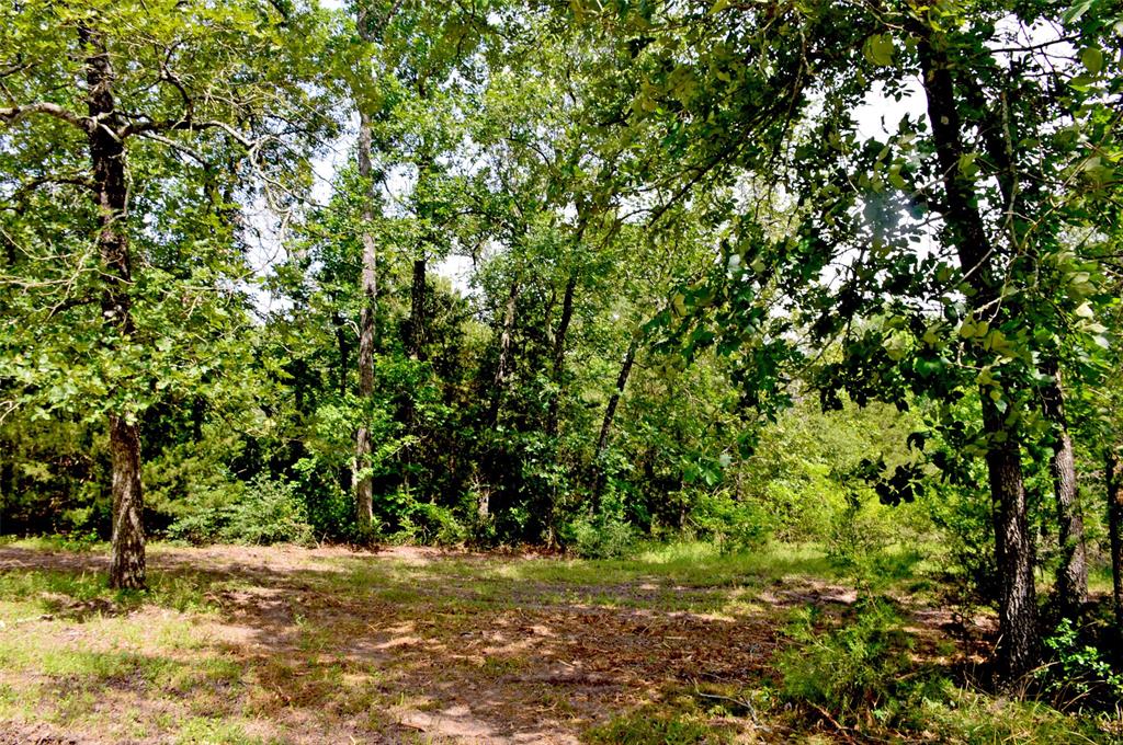 2182 Apache Drive, Montgomery, Texas image 8