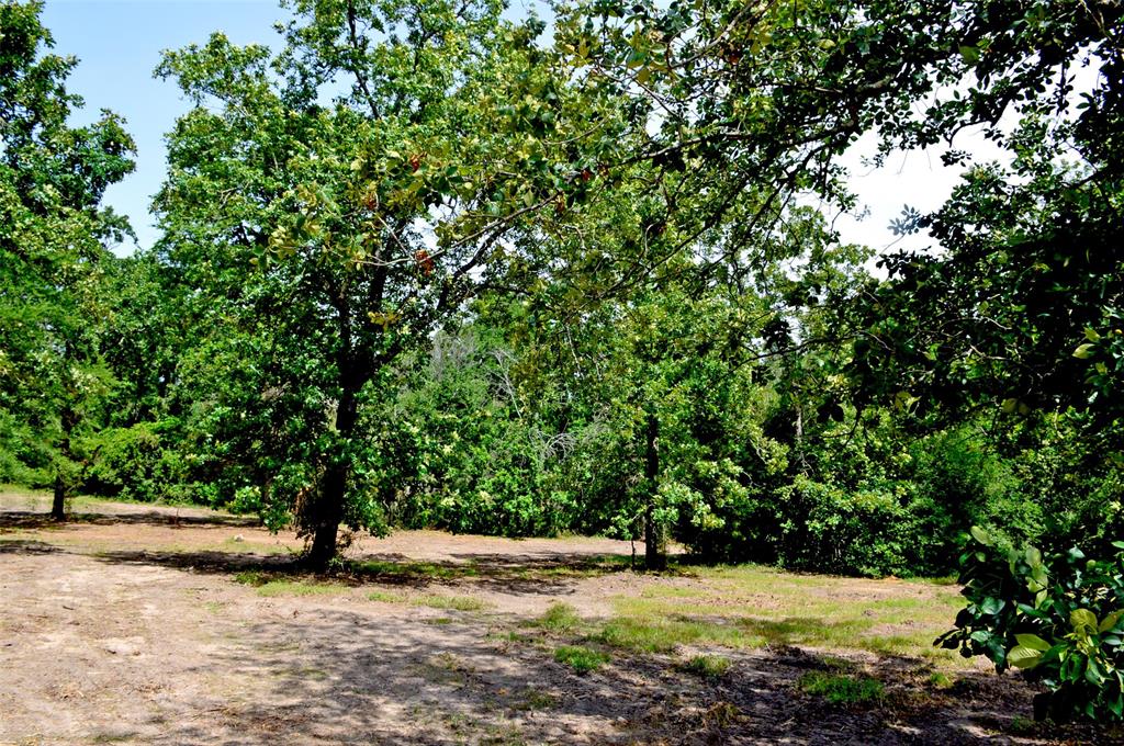 2182 Apache Drive, Montgomery, Texas image 5