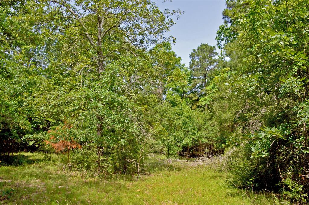 2182 Apache Drive, Montgomery, Texas image 17
