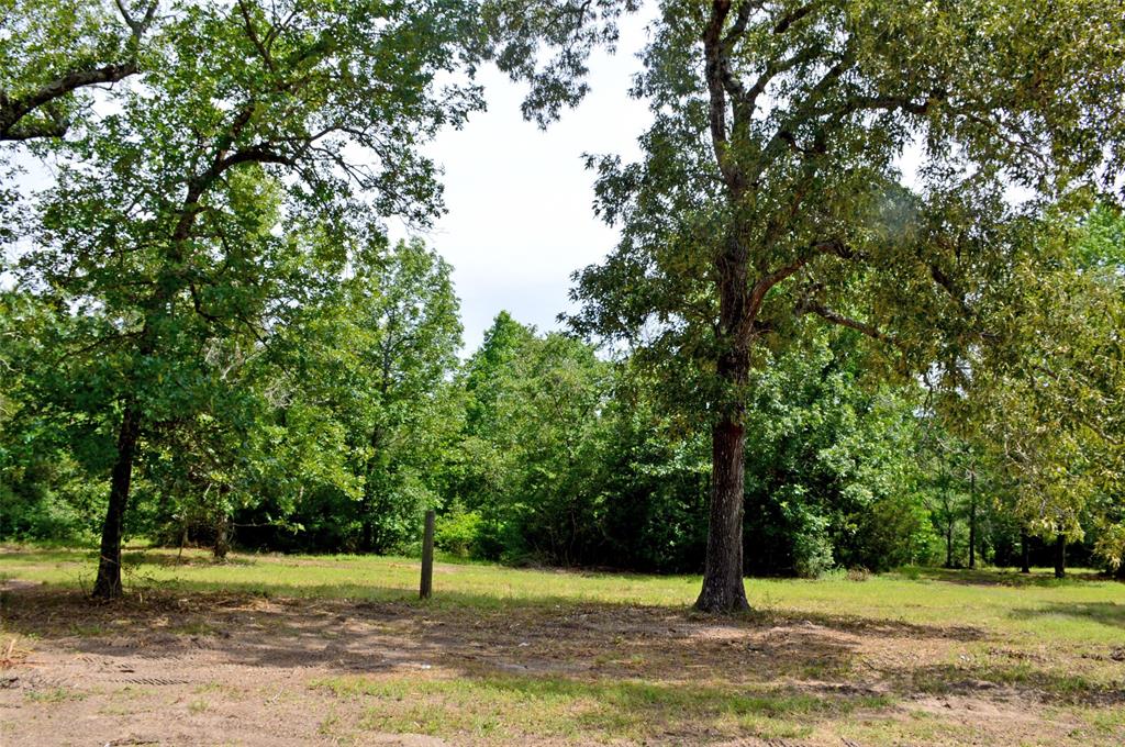 2182 Apache Drive, Montgomery, Texas image 32