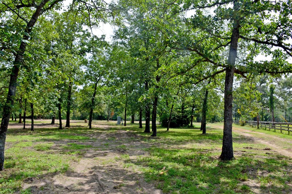 2182 Apache Drive, Montgomery, Texas image 41