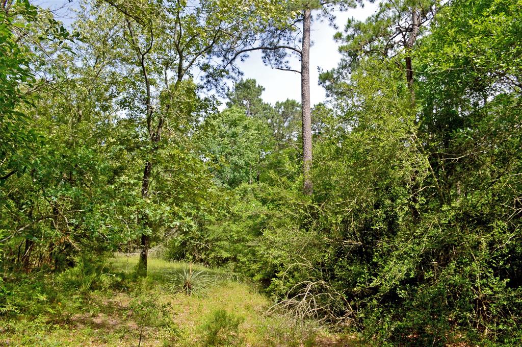 2182 Apache Drive, Montgomery, Texas image 19