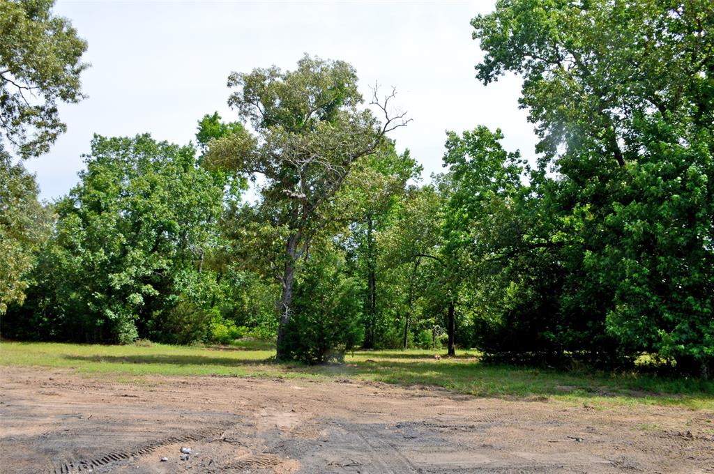 2182 Apache Drive, Montgomery, Texas image 28