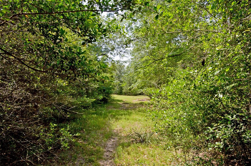 2182 Apache Drive, Montgomery, Texas image 14
