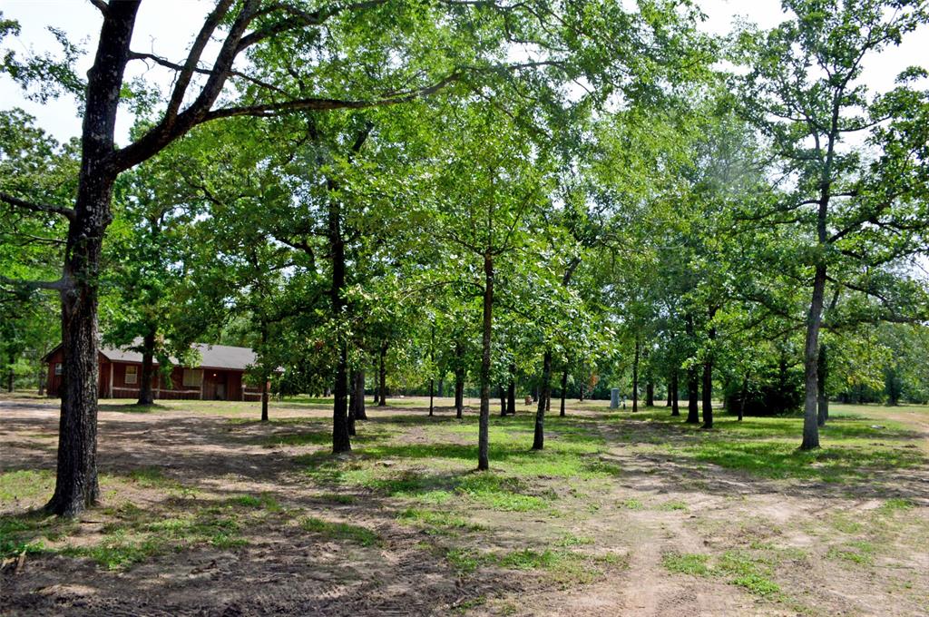 2182 Apache Drive, Montgomery, Texas image 42