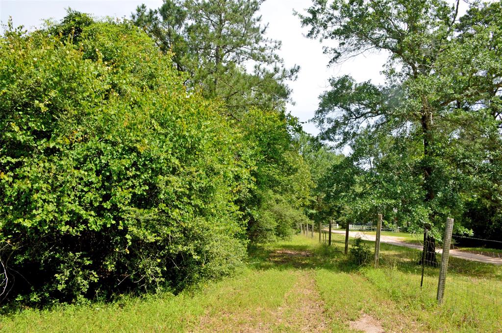 2182 Apache Drive, Montgomery, Texas image 21