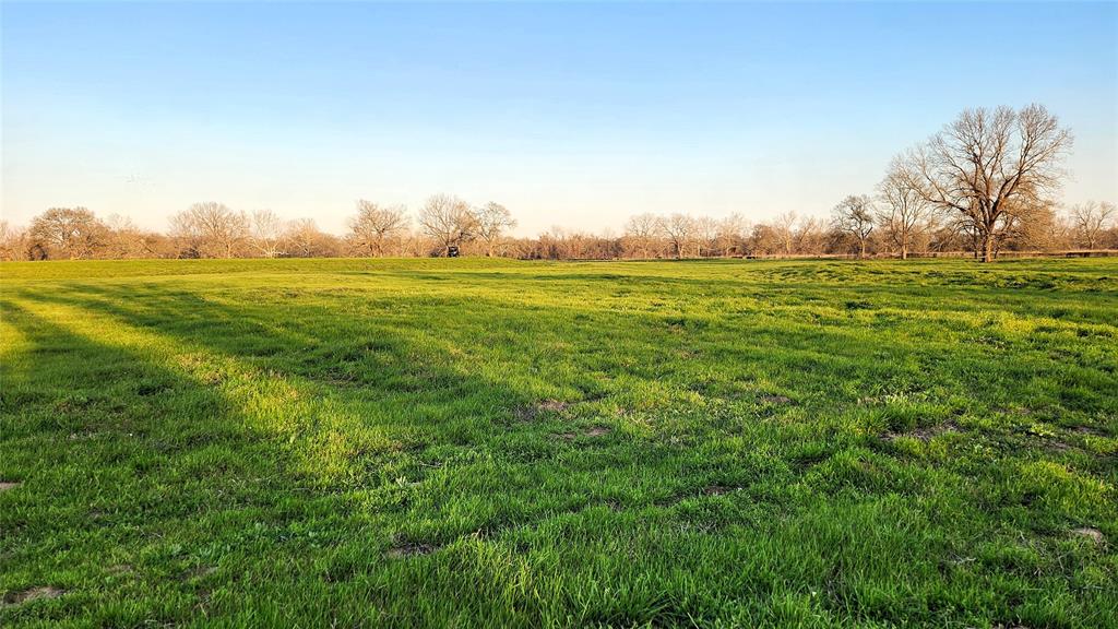 Laprada Trace, Richmond, Texas image 9