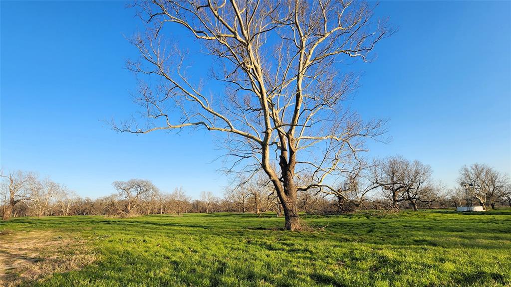 Laprada Trace, Richmond, Texas image 8