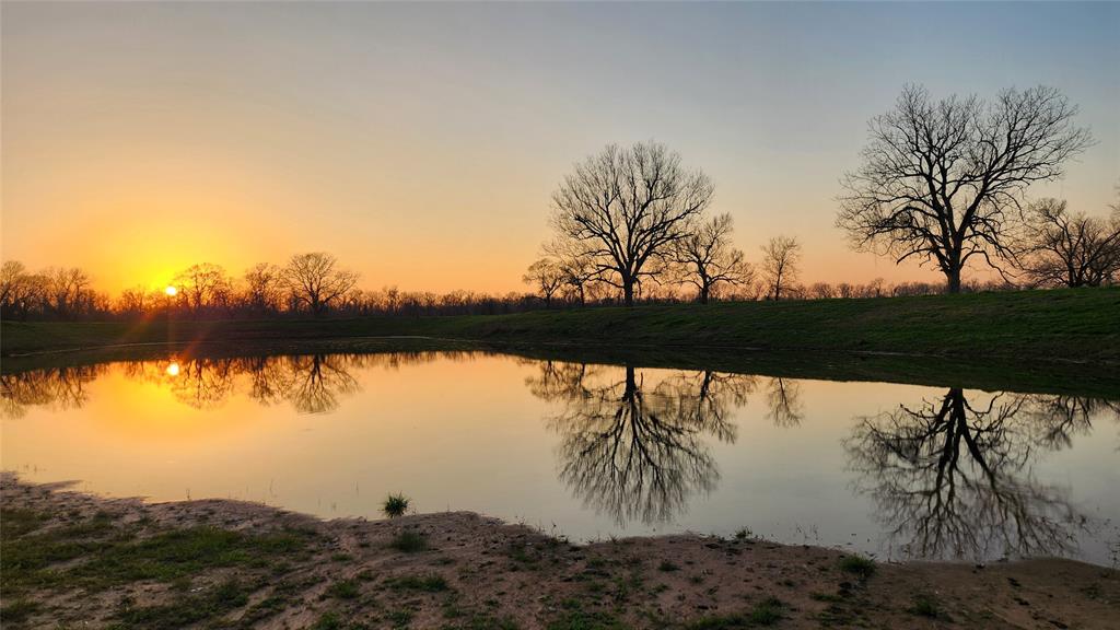 Laprada Trace, Richmond, Texas image 14
