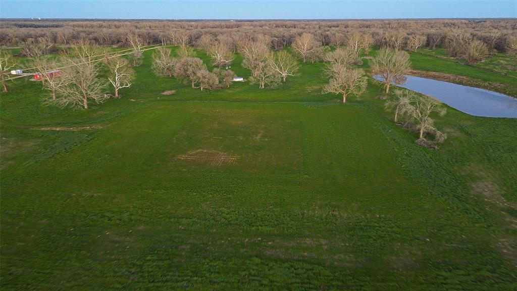 Laprada Trace, Richmond, Texas image 7