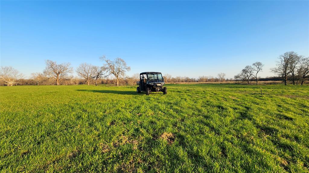 Laprada Trace, Richmond, Texas image 6