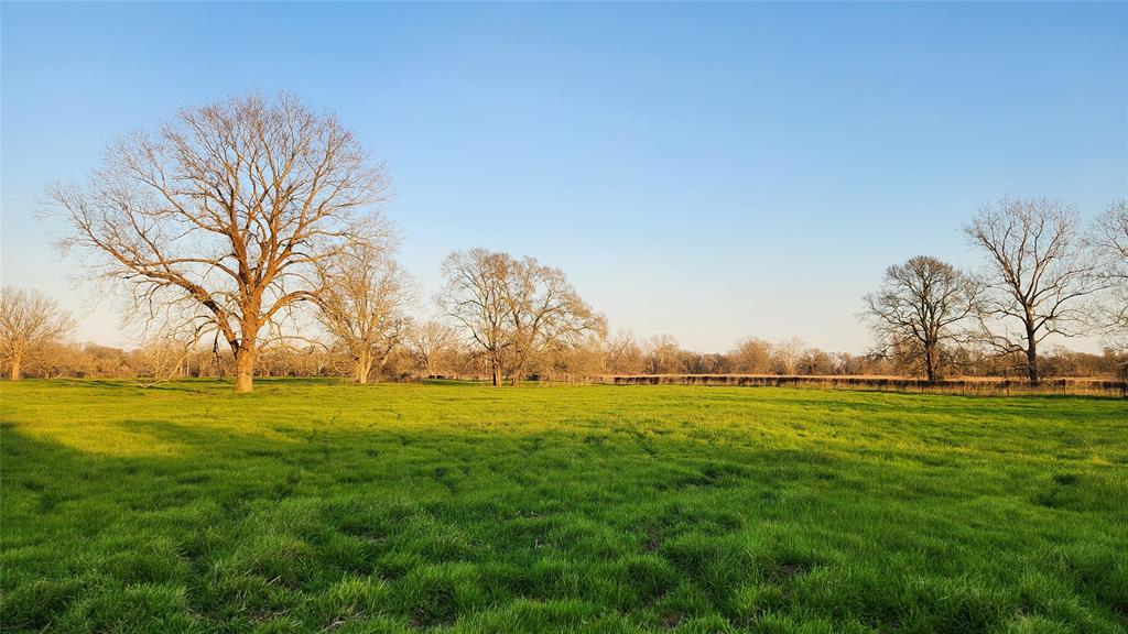 Laprada Trace, Richmond, Texas image 5