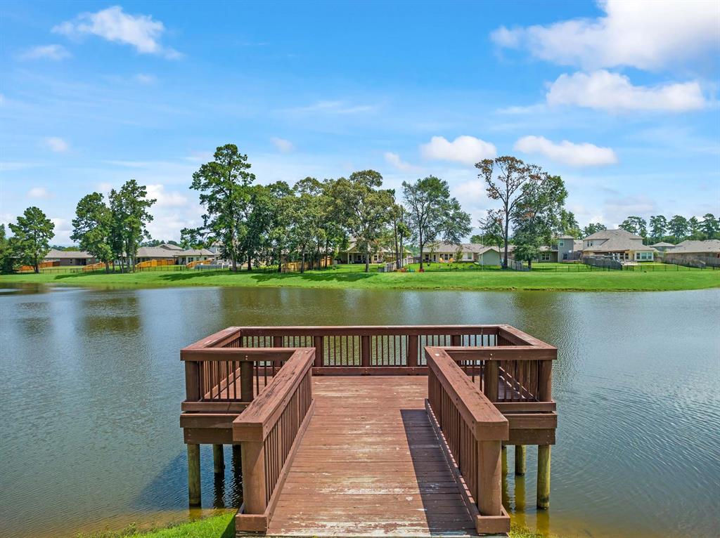 8446 Sweet Cherry Lane, Magnolia, Texas image 8