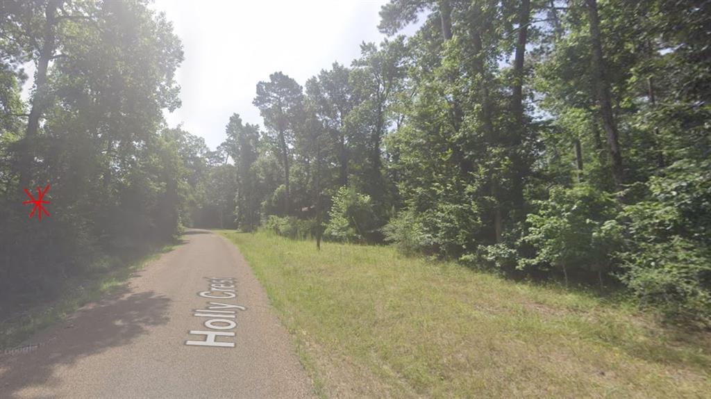 TDB Holly Crest, Livingston, Texas image 3