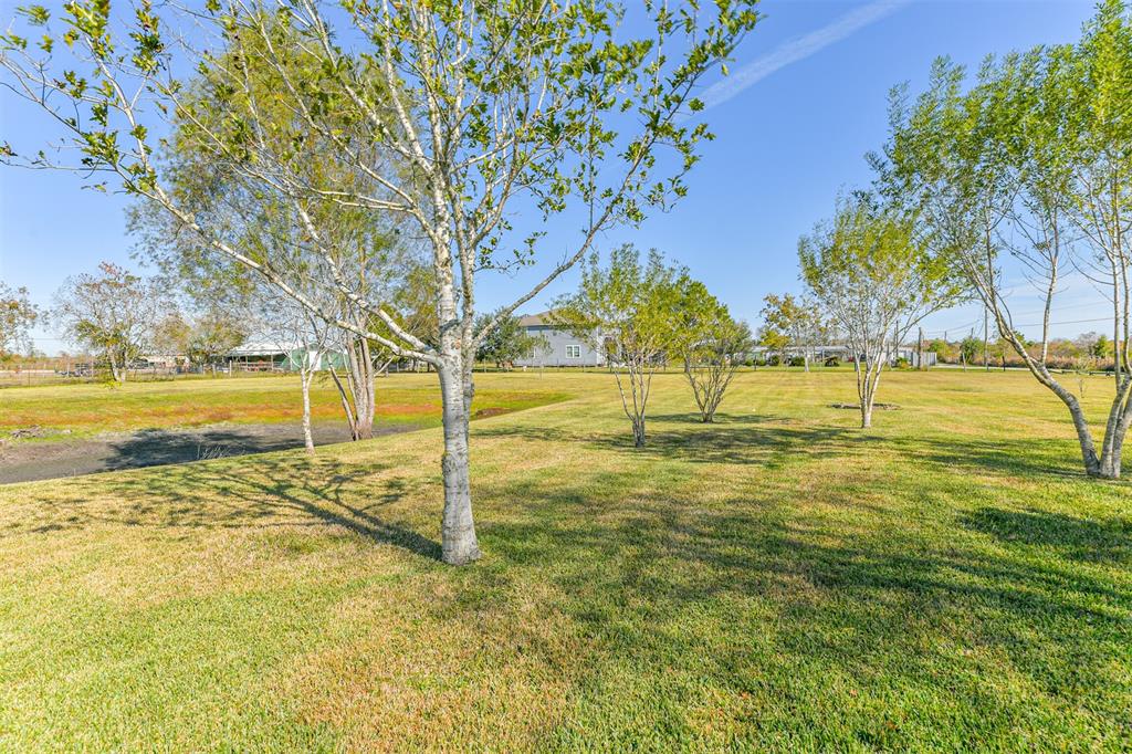 13903 County Road 184, Alvin, Texas image 17