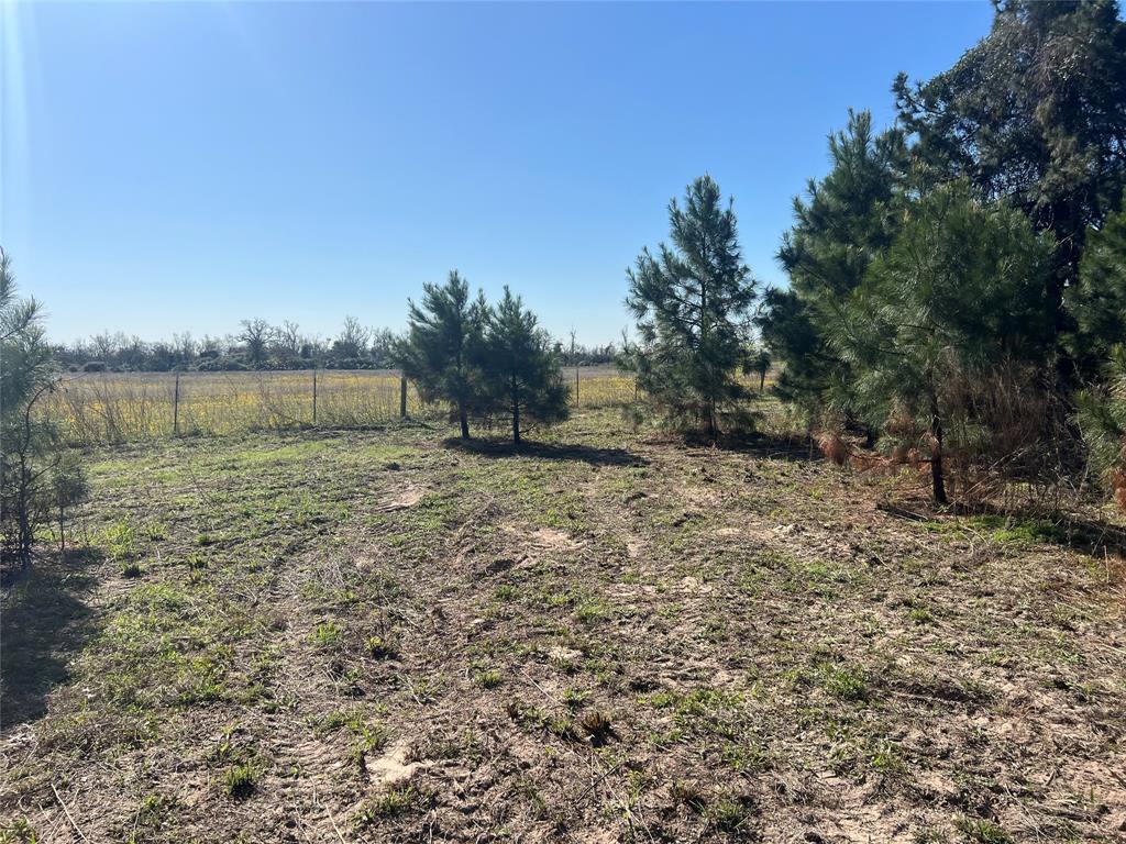 TBD Cr 322, Jewett, Texas image 8