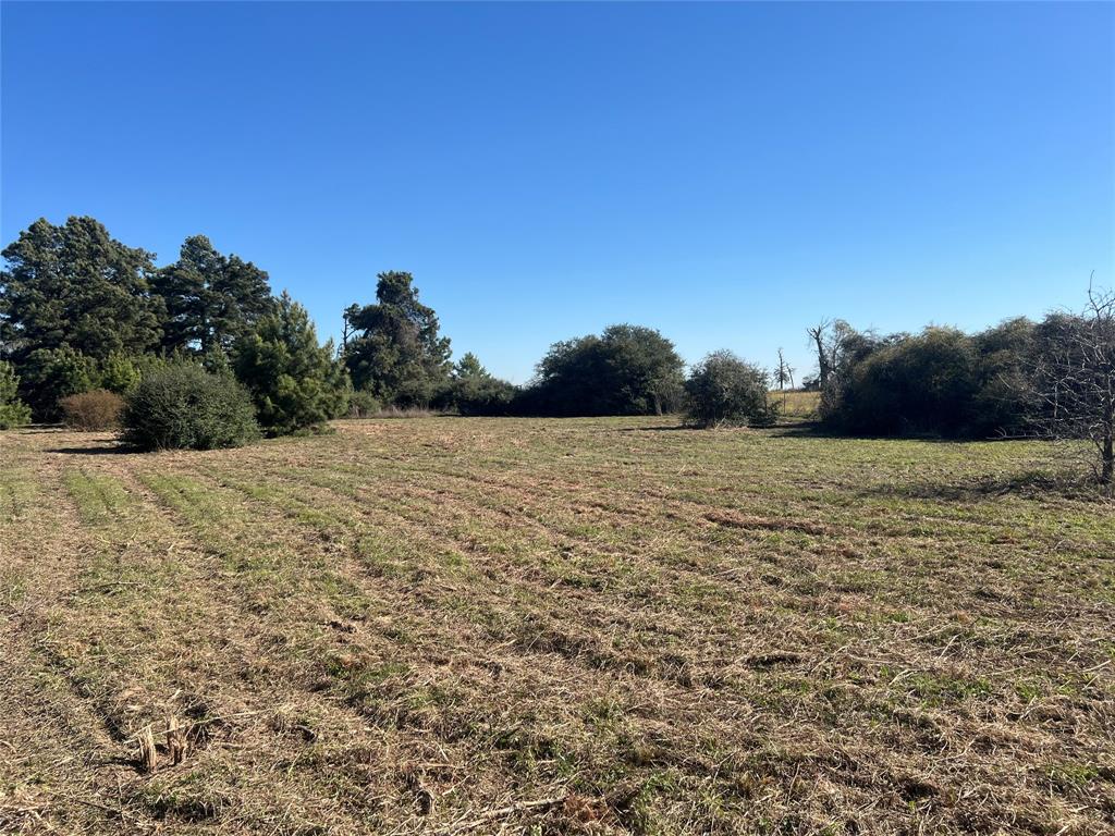 TBD Cr 322, Jewett, Texas image 5